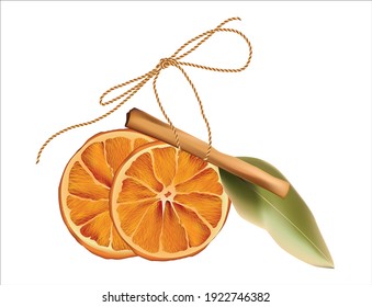 dry orange slice cinnamon stick bay leaf Vector 3d template isolated on white. Realistic illustration style. mulled wine recipe. winter wallpaper symbol. macro close up. 