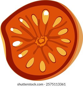 Dry Orange Slice Illustration Isolated on White Background