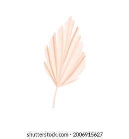 Dry palm leaf on a white background. For the decoration of invitations, flyers, postcards. Vector illustration.