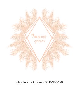 Plantilla de la tarjeta de pasto Dry Pampas con espacio de copia. Decoración floral de césped ornamental para invitaciones, postales. Ilustración vectorial. 