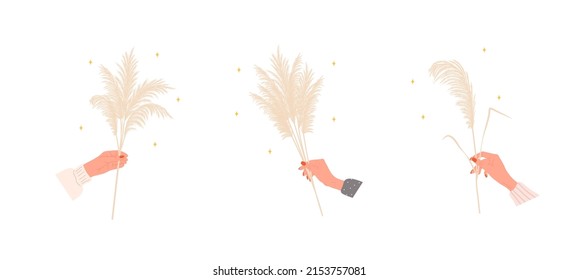 Dry pampas grass in female hands. Beige cortaderia in boho style. Vector dried flower isolated on white background. Trendy element design for invitations, postcards, home interior, social media.
