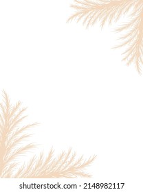 Dry pampas grass. Floral border frame design. Beige cortaderia in boho style. Vector dried flowers isolated on white background. Trendy template for invitations, postcards, social media.