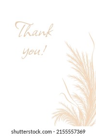 Dry pampas grass. Floral border frame design. Tan cortaderia in boho style. Vector dried flowers isolated on white background. Trendy template for invitations, postcards, social media.