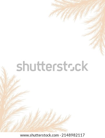 Dry pampas grass. Floral border frame design. Beige cortaderia in boho style. Vector dried flowers isolated on white background. Trendy template for invitations, postcards, social media.