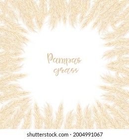 Dry pampas grass frame. A place for text, a place for copying. Vector illustration. Decor. Vector illustration.
