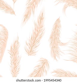Dry pampas grass seamless vector pattern. Boho. Vector illustration.