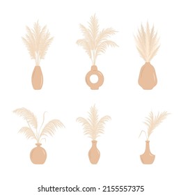 Dry pampas grass in vases. Set of cortaderia arrangements in boho style. Vector dried flowers isolated on white background. Trendy element design for wedding invitations, postcards, home interior.