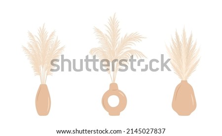 Dry pampas grass in vases. Set of cortaderia arrangements in boho style. Vector dried flowers isolated on white background. Trendy element design for wedding invitations, postcards, home interior.