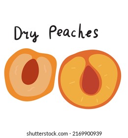 Dry peaches. Vector illustration on white background.
