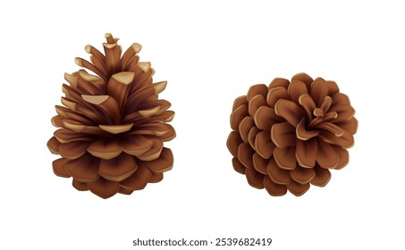 Dry pine-cones from coniferous tree realistic vector icons set. Fir tree cones with seeds and open scales 3d objects illustrations on white