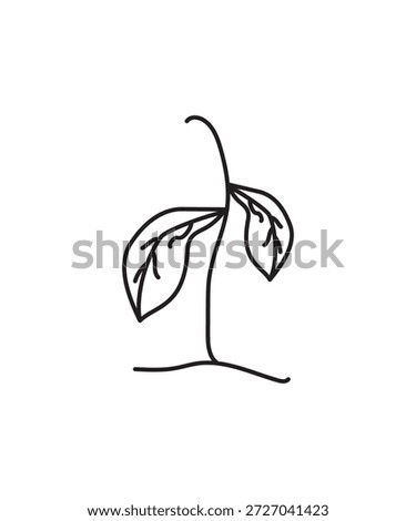 dry plant icon, vector best line icon.