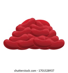 Dry red beans icon. Cartoon of dry red beans vector icon for web design isolated on white background