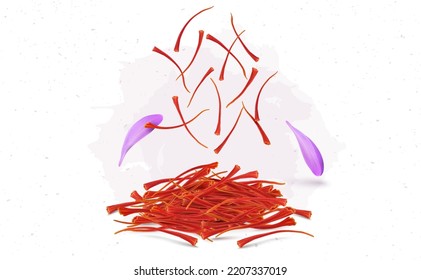 Dry saffron stamens vector illustration with saffron flower petals