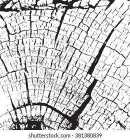 Dry Sawed Wood with cracked annual rings  Overlay Texture for your design. EPS10 vector.