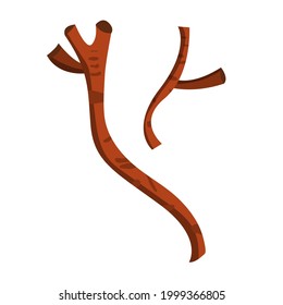 Dry, sinister branches. Happy halloween celebration. Decoration for horror night. Vector cartoon illustration