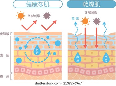 Dry skin

In Japanese, it is described as "healthy skin", "dry skin", "external stimulus", "moisture", "evaporation", "epidermis", "dermis", and "skin oil film".