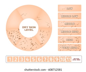 dry skin level infographic vector