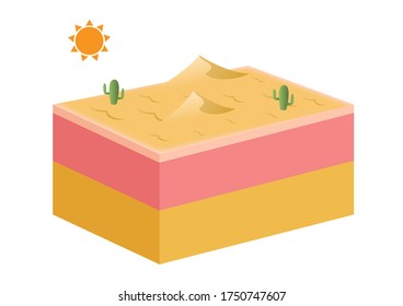 Dry skin texture vector	 on white background / desert