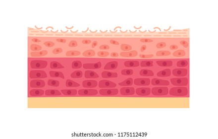 dry skin vector / cell