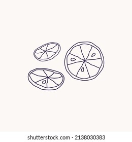 Dry sliced lemon line style icon.