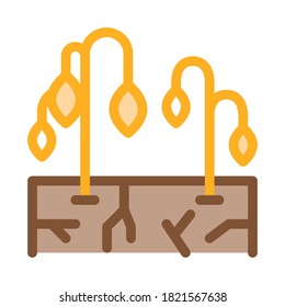 dry soil for plants icon vector. dry soil for plants sign. color symbol illustration