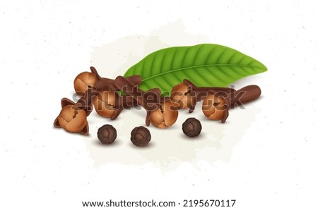 Dry spice cloves vector illustration with green leaves and black pepper
