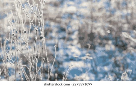 Dry stems and inflorescences of chamomile are covered with hoarfrost against the background of a snow-covered meadow. Long shadows at dawn. Vector.