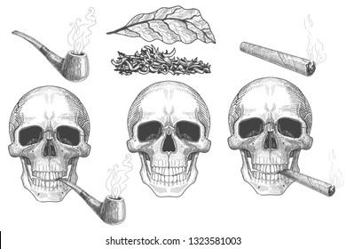 Dry tobacco leaves and human skull with tobacco pipe, smoke and cigar.