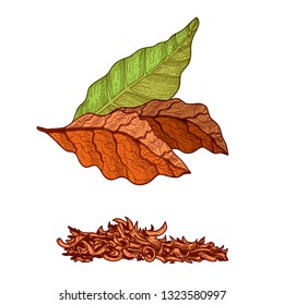 Dry Tobacco Leaves And Tobacco Powder