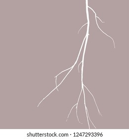 The dry tree branch silhouette, isolated on white background
