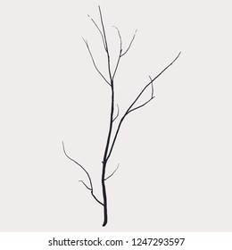The dry tree branch silhouette, isolated on white background
