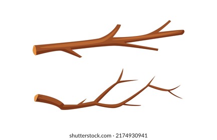 Dry tree branches set. Forestry and lumber industry cartoon vector illustration