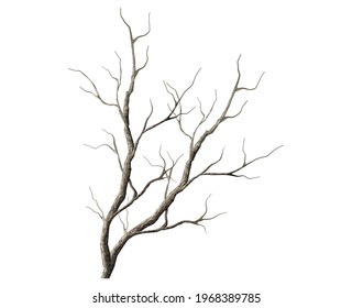 dry tree branches vector illustrations