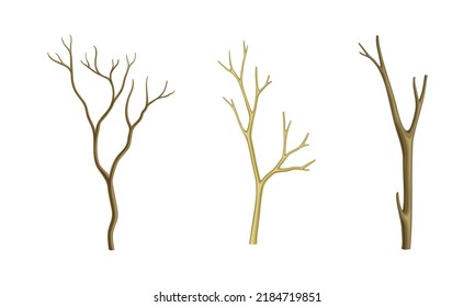 Dry tree branches without leaves set vector illustration