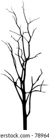 Dry tree died dead isolated on white background