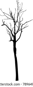 Dry tree died dead isolated on white background
