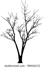 Dry tree died dead isolated on white background