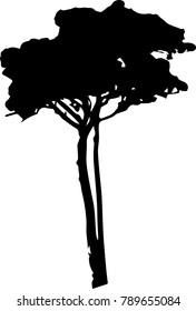 Dry tree died dead isolated on white background