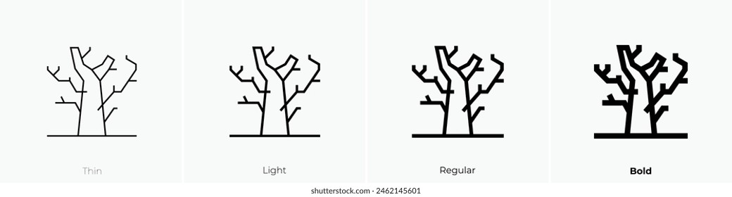 Symbol für trockenen Baum. Dünnes, leichtes Regular- und Bold-Design isoliert auf weißem Hintergrund