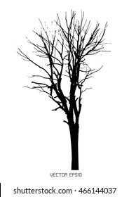 Dry tree isolated on white