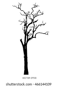 Dry tree isolated on white