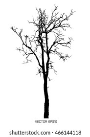 Dry tree isolated on white