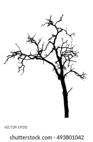 Dry tree isolated on white