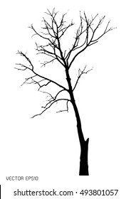 Dry tree isolated on white