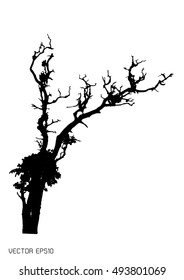 Dry tree isolated on white