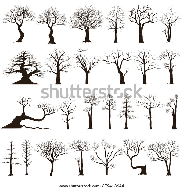 Dry Tree Isolated On White Background Stock Vector (Royalty Free) 679418644