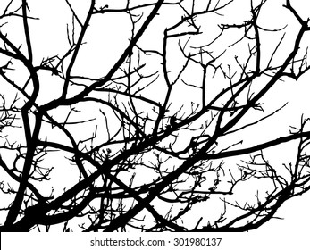 Dry tree isolated vector banner, branch stick silhouette background, wood view backdrop, forest scene shadow, wild jungle outline