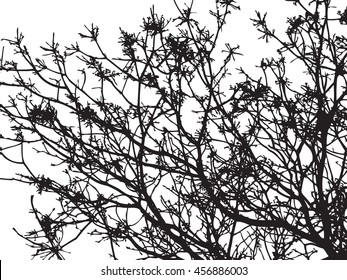 Dry tree isolated vector banner, branch stick silhouette background, wood view backdrop, forest scene shadow, wild jungle outline