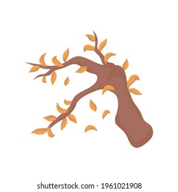 dry tree leaves isolated style