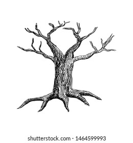 dry tree logo with hand painting, abstract tree vector illustration